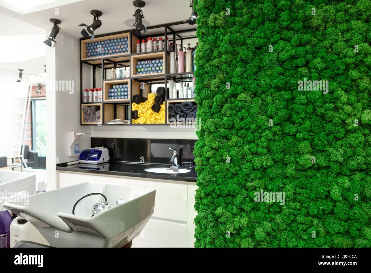 Decorative wall of green moss in a beauty salon Stock Photo