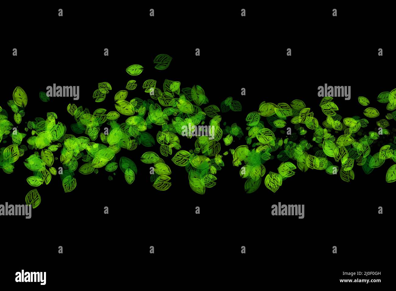 Abstract Eco fresh green field wavy line made of drawing leaves isolated on black background. Spring healthy illustration overla Stock Photo