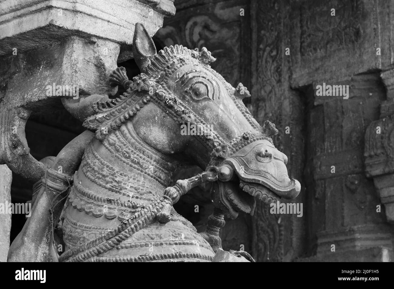 Horse statue in temple in Black and White Stock Photos & Images - Alamy