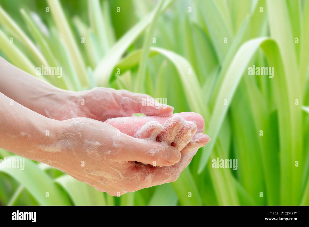 Antibacterial soap in the hands. Hand disinfection with soap