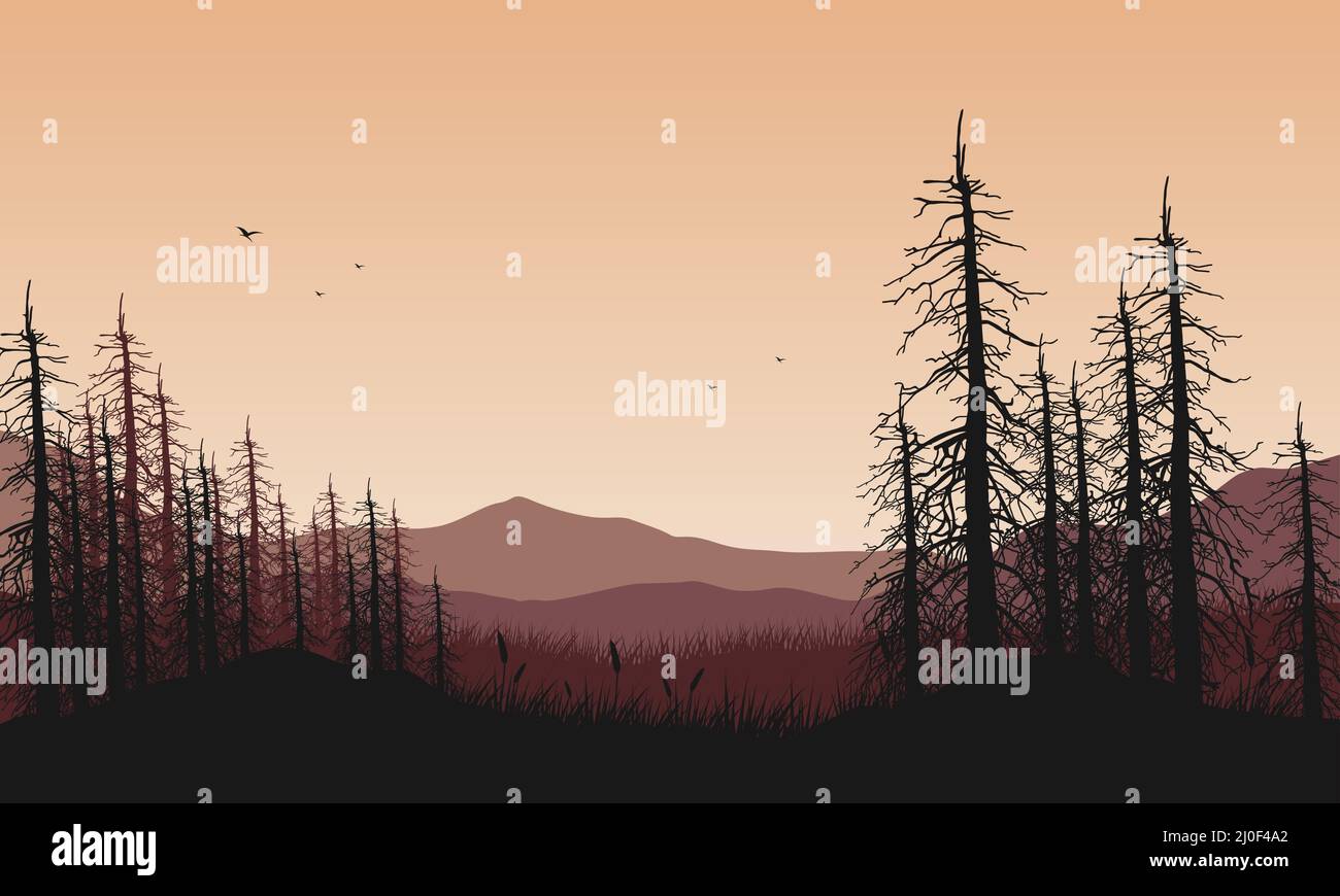 Mountain view with the realistic silhouette of dry pine trees from ...