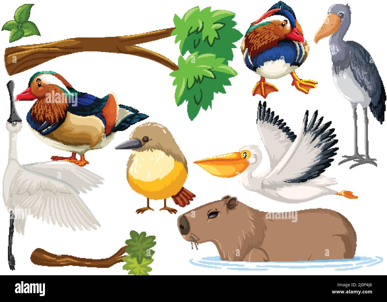 Different kinds of wild animals collection illustration Stock Vector ...