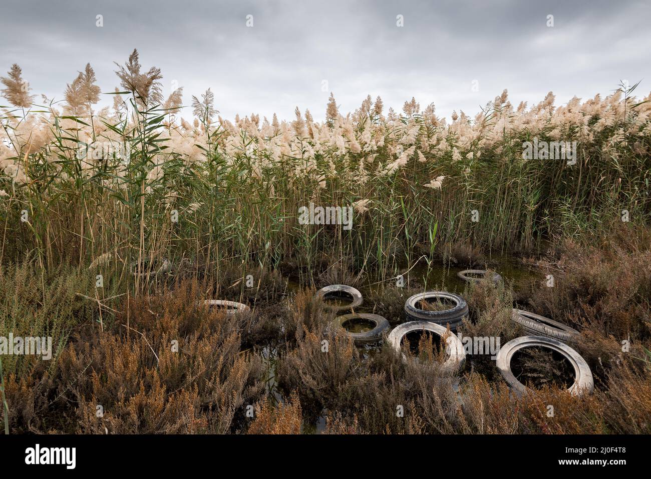 Rusty used vehicle tires disposed, creating environmental pollution Stock Photo