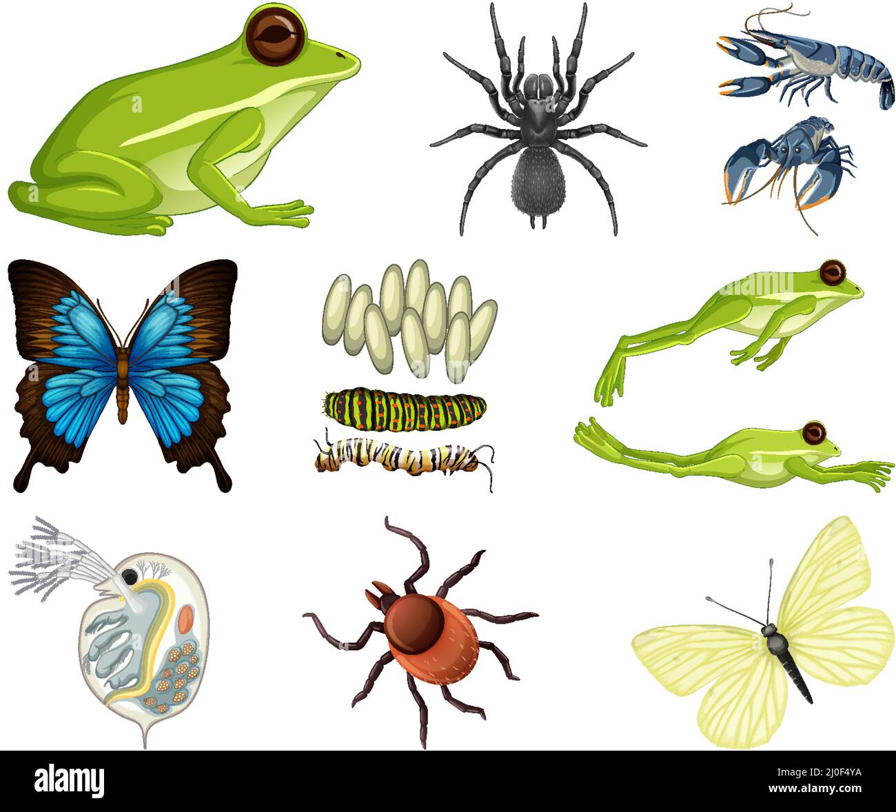 Different kinds of insects and animals on white background illustration ...