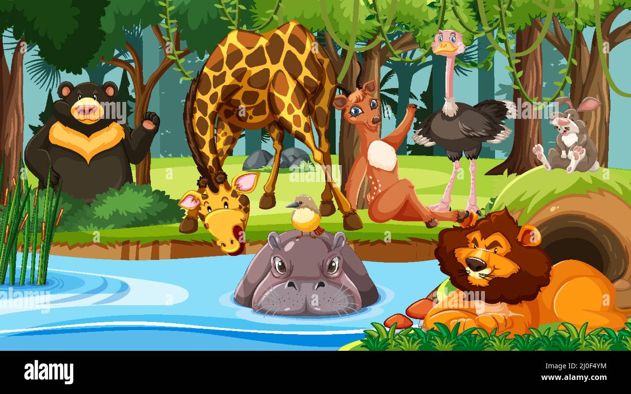 Wild animals in the jungle illustration Stock Vector Image & Art - Alamy