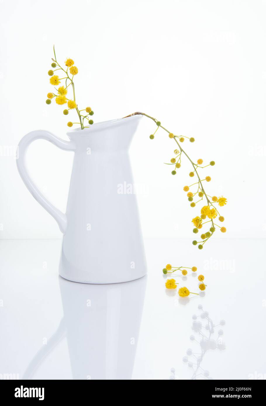 Yellow beautiful flowers on a white vase. High Key still-life photography Stock Photo