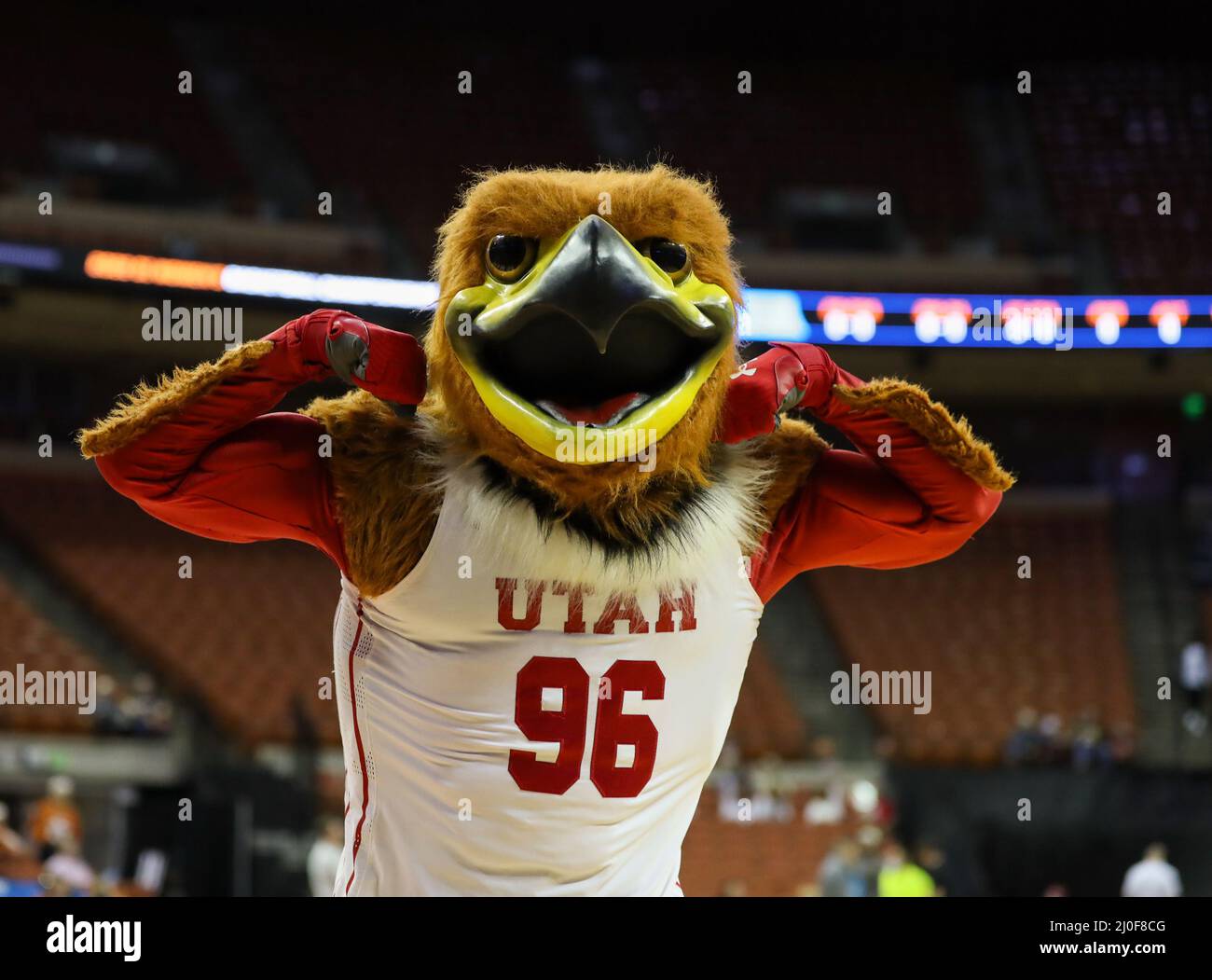 Texas, USA. 18th Mar, 2022. March 18, 2022: Utah mascot Swoop before ...