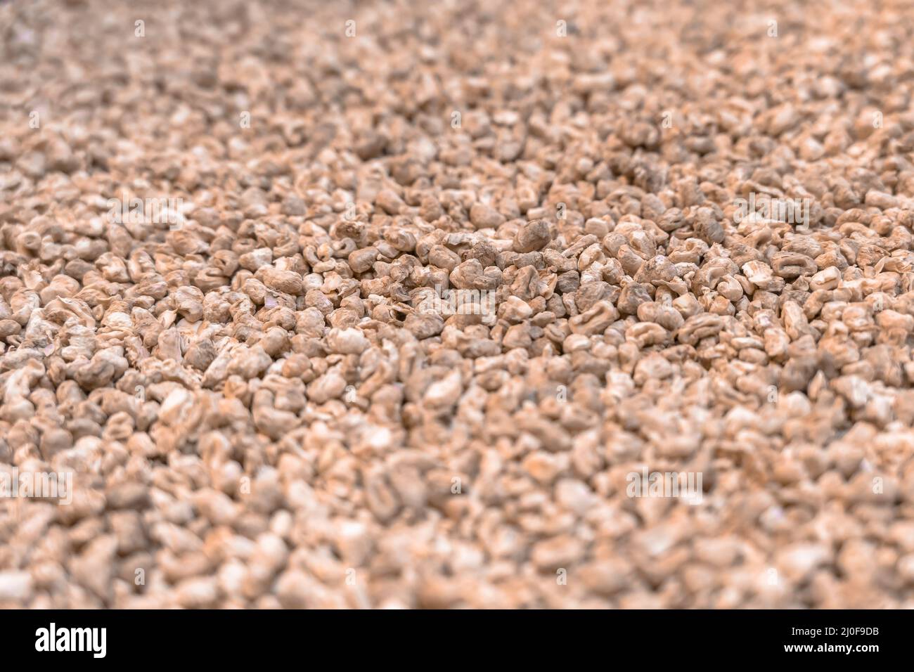 Corn cob bedding hires stock photography and images Alamy