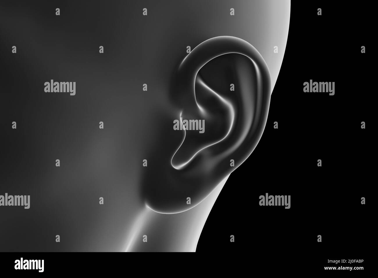 Female ear, illustration Stock Photo