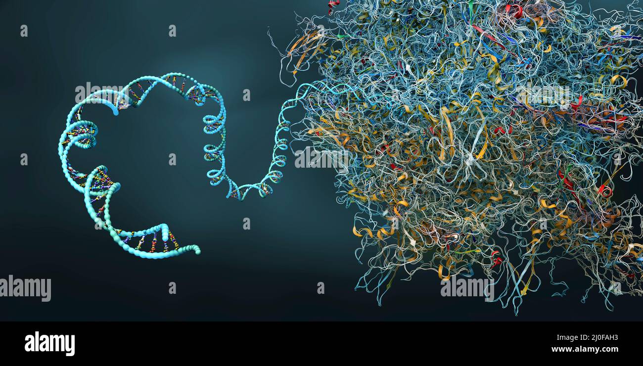 Ribosome translation hi-res stock photography and images - Alamy