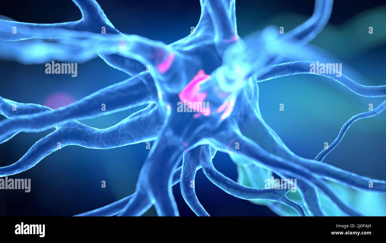 Human nerve cell, illustration Stock Photo - Alamy