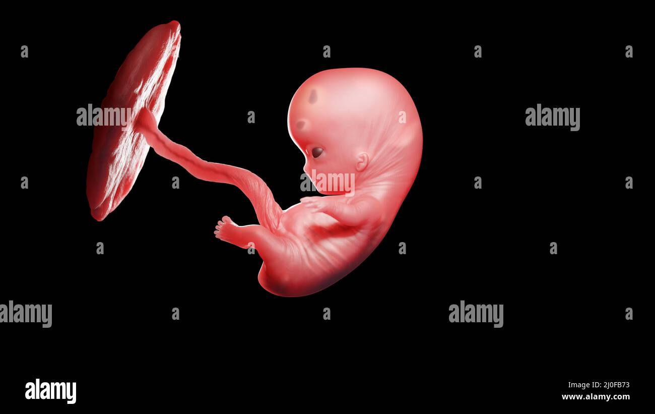 Die Kunst, das Morgen produktiv zu beginnen