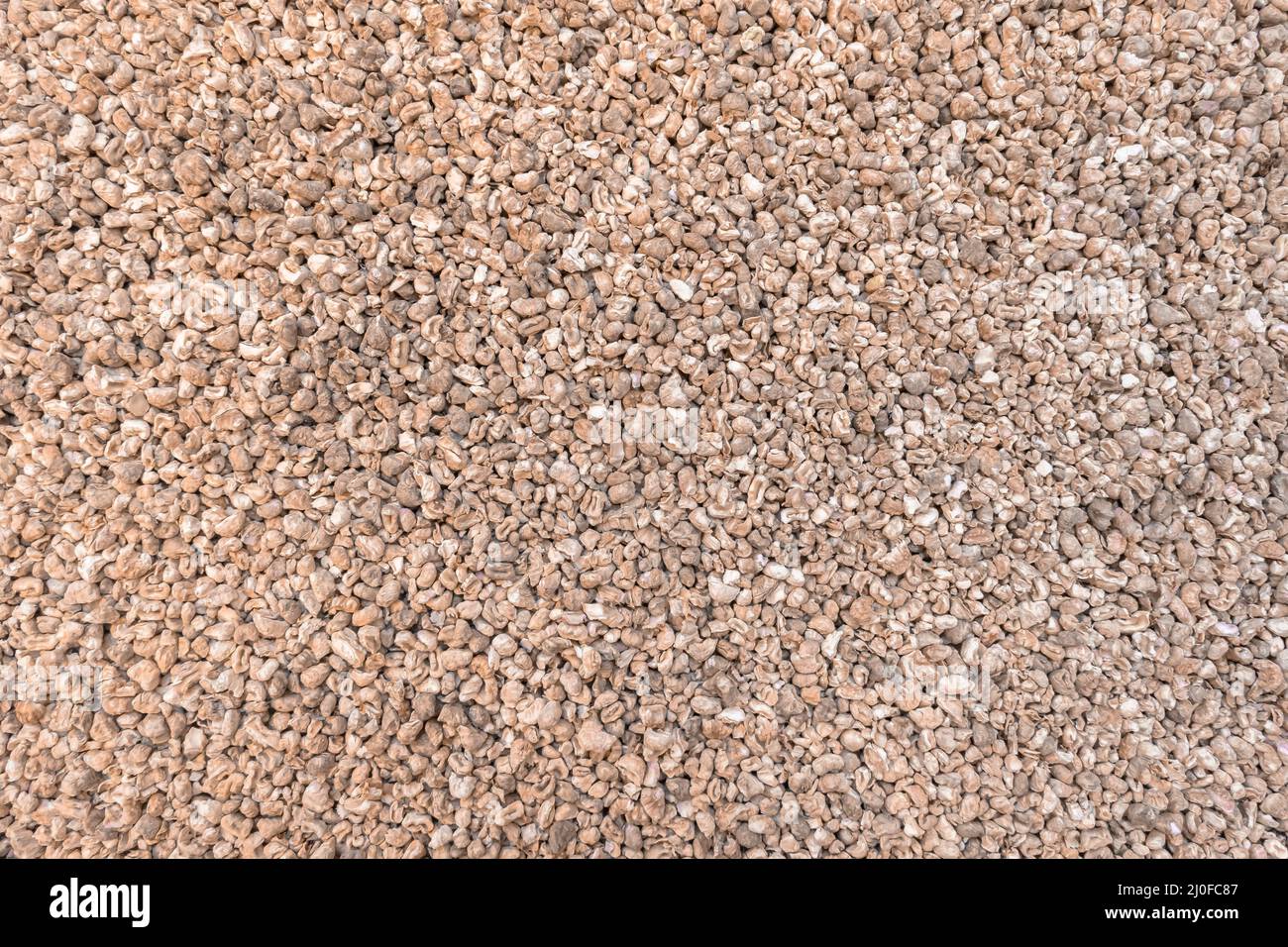 Corn cob bedding hires stock photography and images Alamy