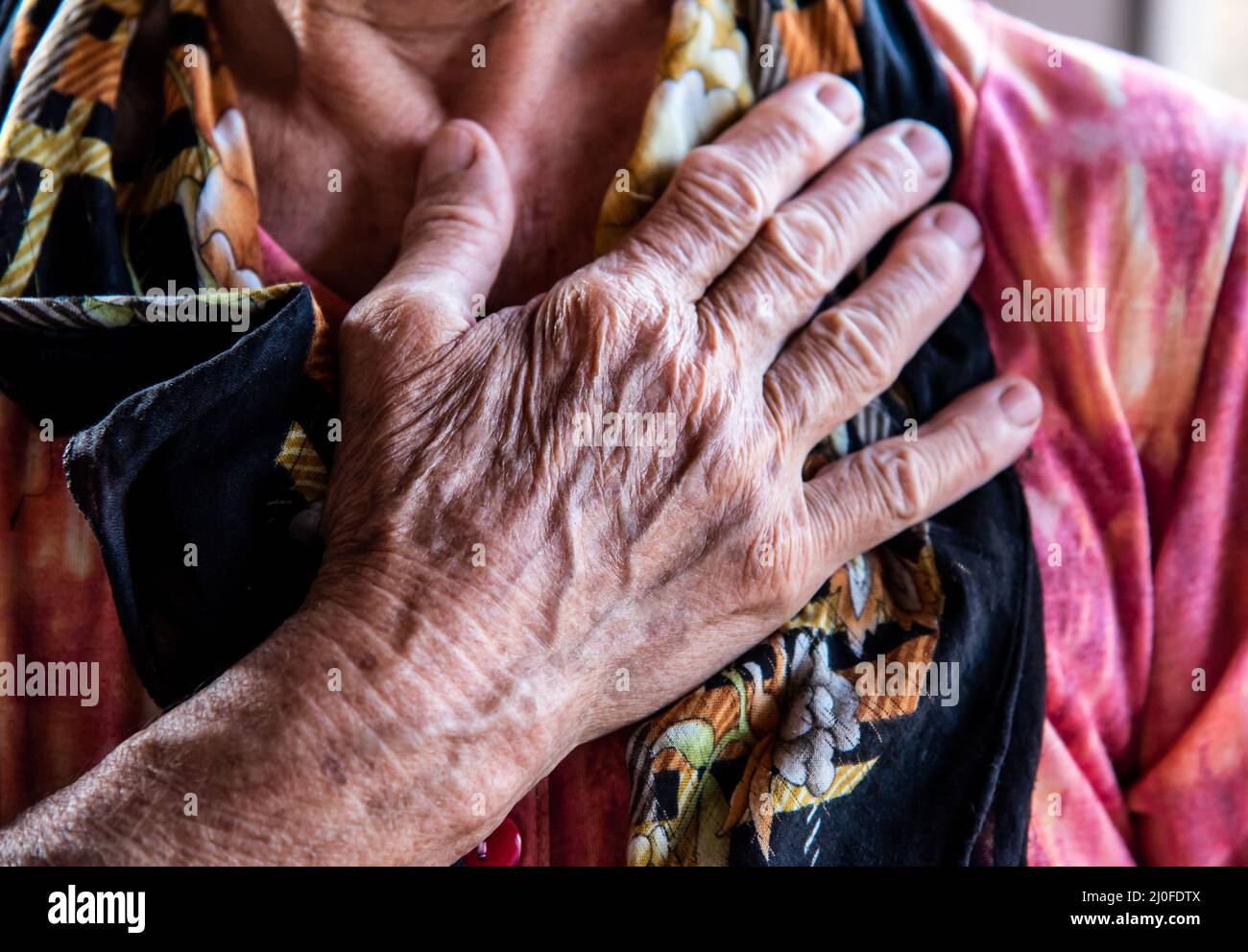 Wrinkled hand of a senior woman Stock Photo