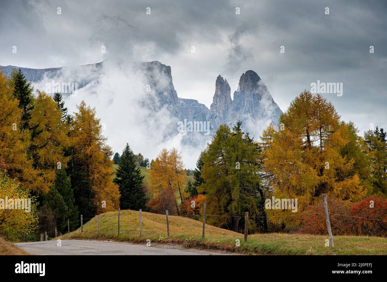 Landscape with autumn meadow field and trees dolomite rocky peaks in ...