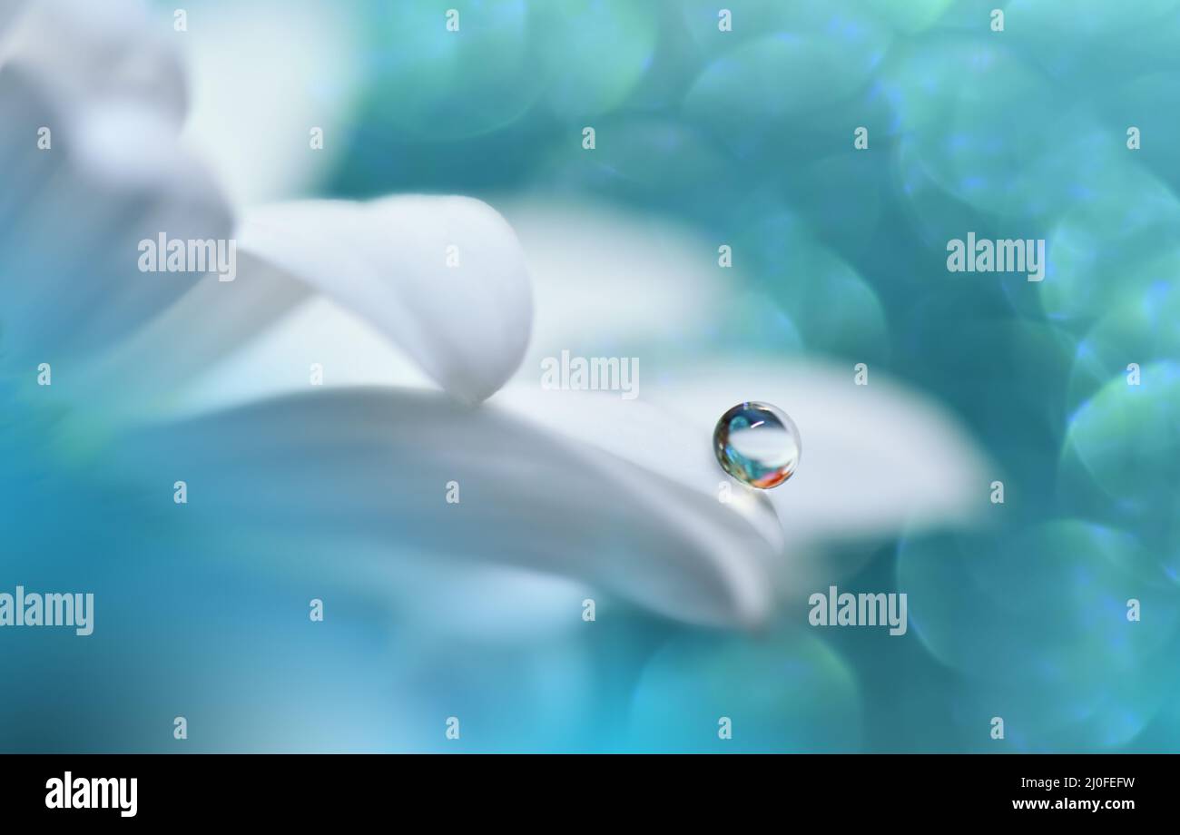 Beautiful Nature Background.Floral Art Design.Abstract Macro Photography.White Flower.Blue Background.Creative Artistic Wallpaper.Turquoise Color. Stock Photo