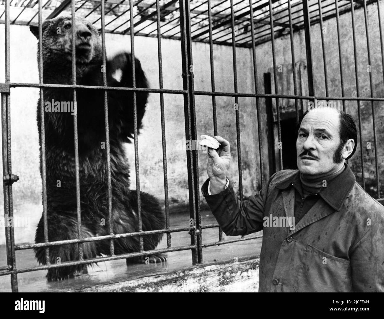 The Cardiff Zoo, Barry, which is owned by the Palmer brothers is up for sale. Pictured is Mr Hugh Palmer about to offer a piece of bread to the Zoo's brown bear. 23rd January 1980. Stock Photo