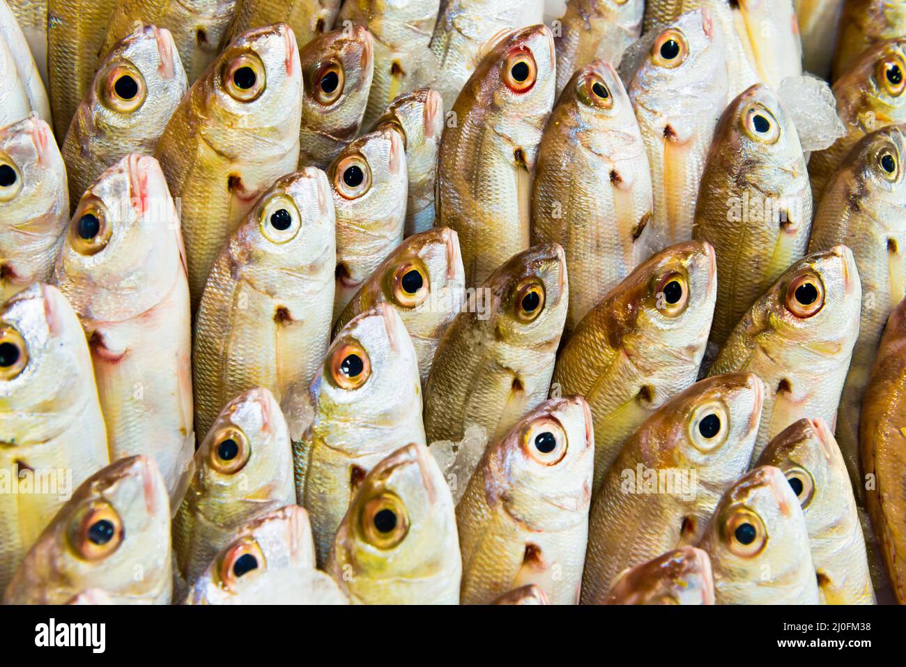 Pile of fish at seafood market Stock Photo Alamy