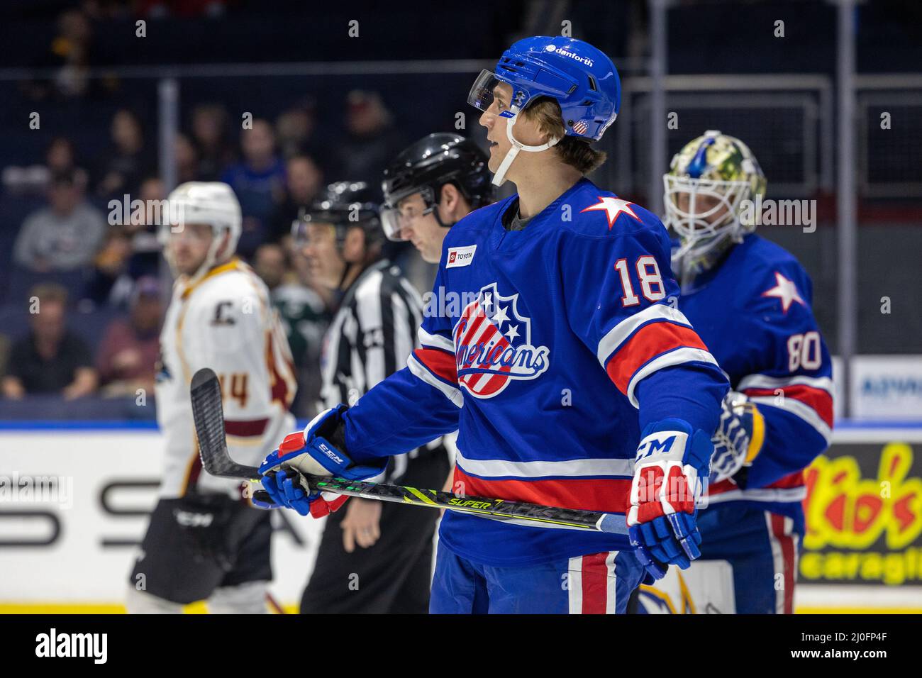 rochester americans live