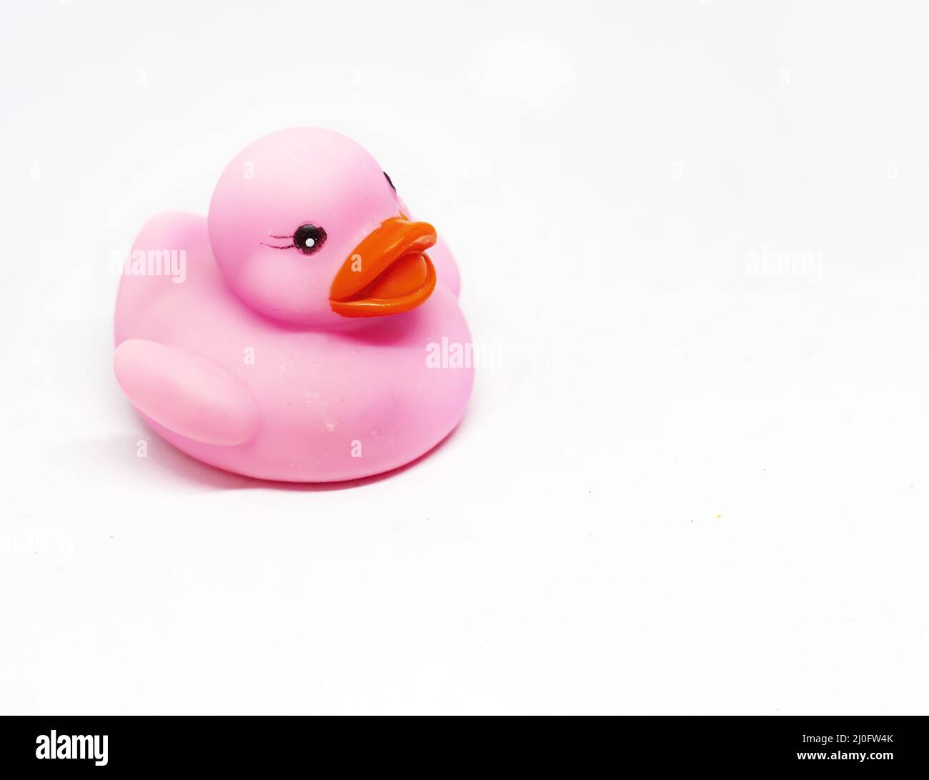 Pink rubber duck with orange beak isolated on a white background. Stock Photo
