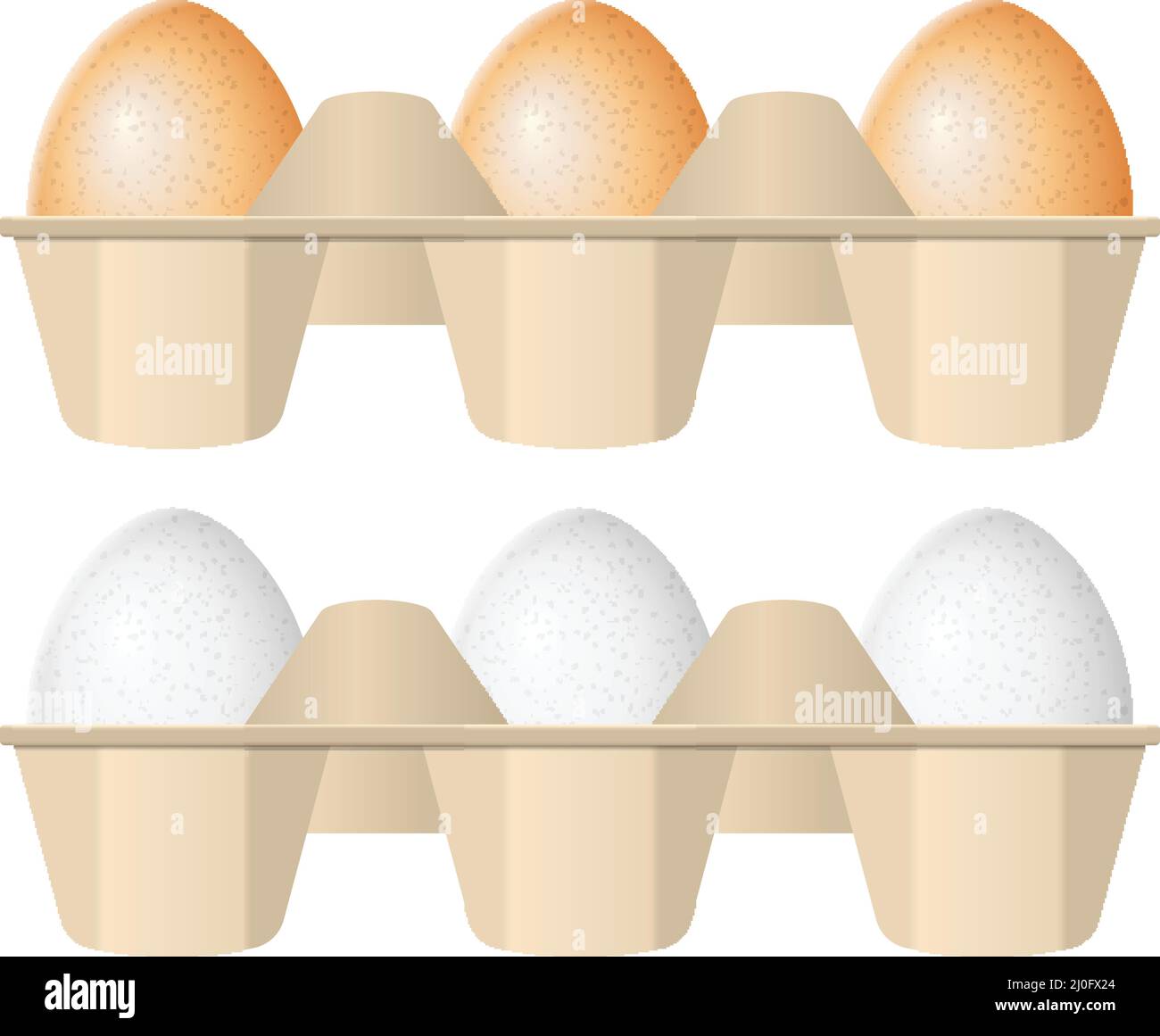 Eggs in carton box on a white background. Stock Vector
