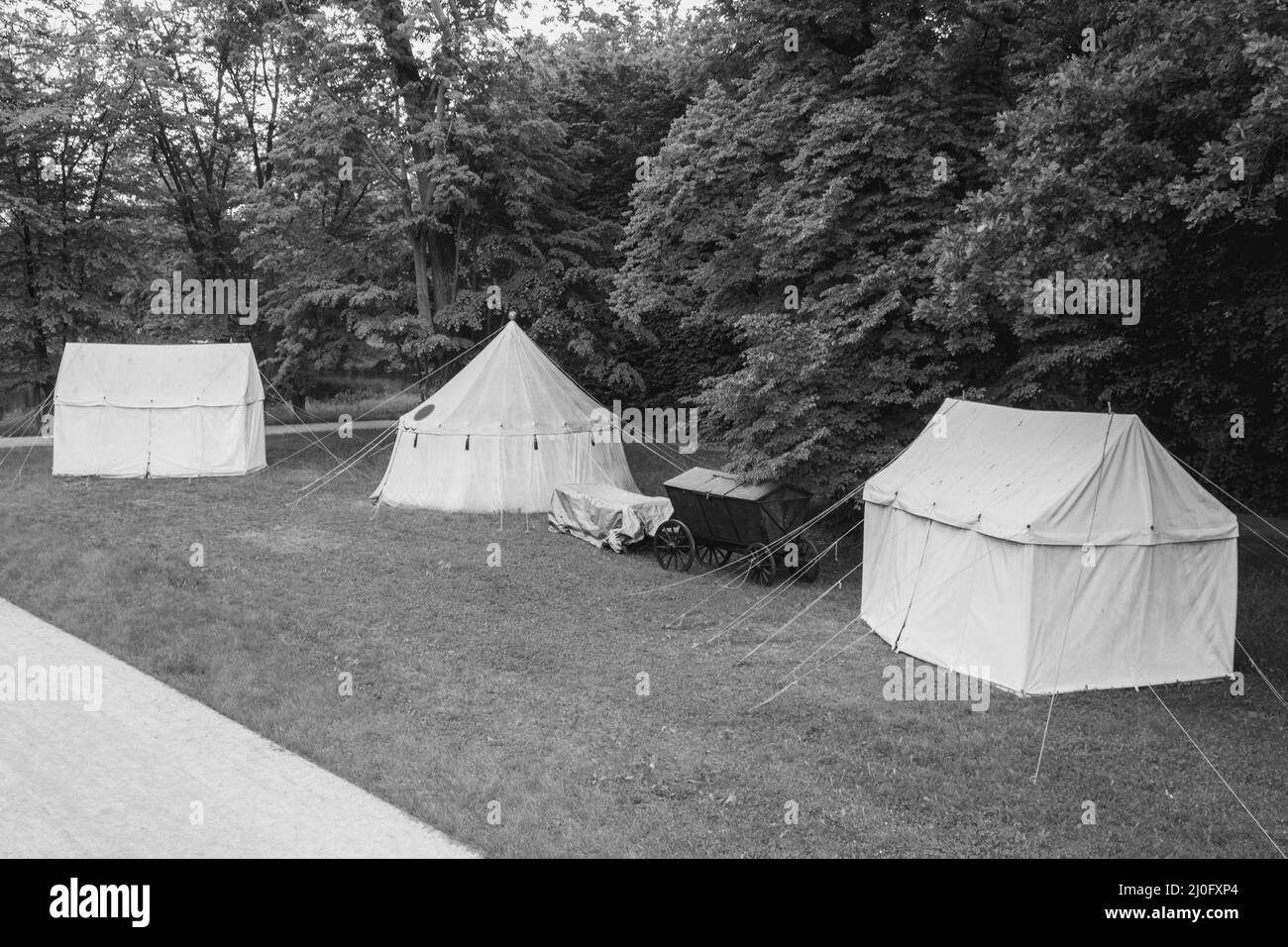 Beautiful and neat path in the city park, landscape. Alley and sidewalk