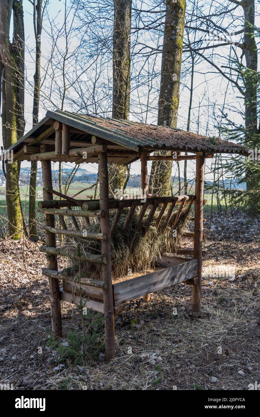 Feed container for wild animals feeding with feed manger Stock Photo