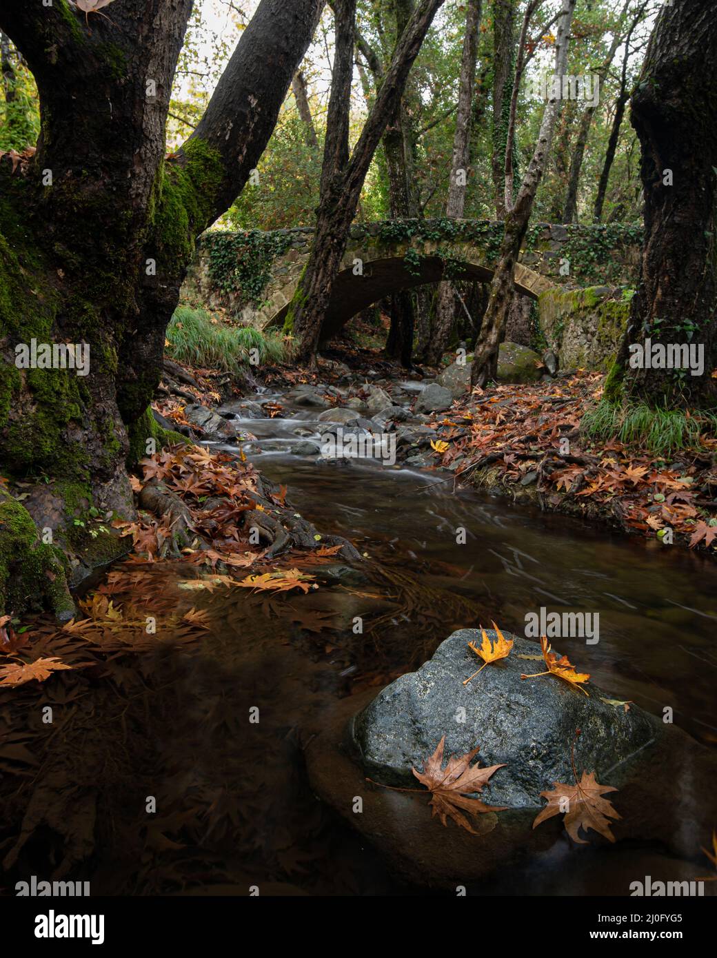 Autumn landscape landscape with river flowing below an ancient stoned ...