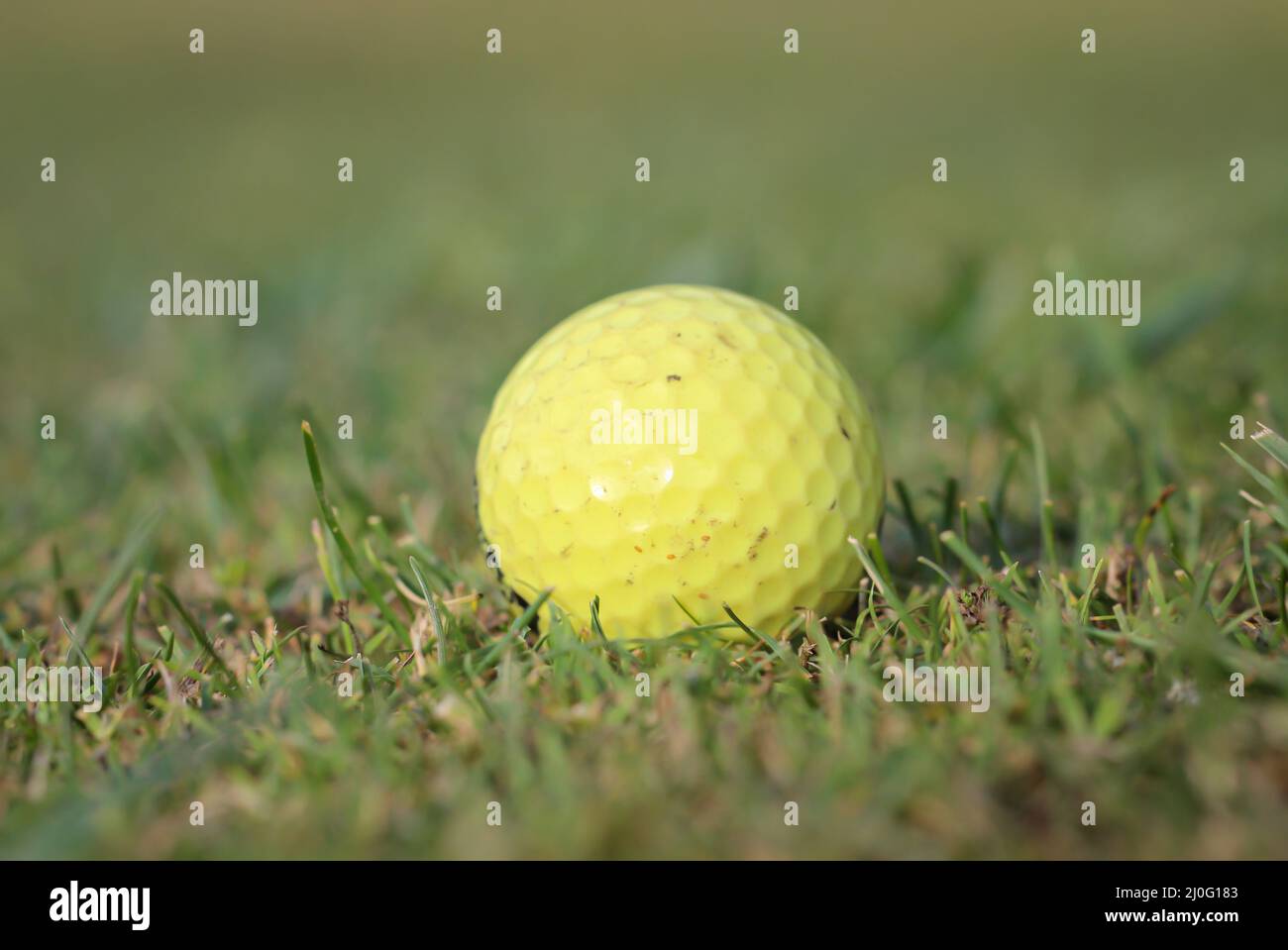A golf ball lies quietly on the green of a golf course. Stock Photo