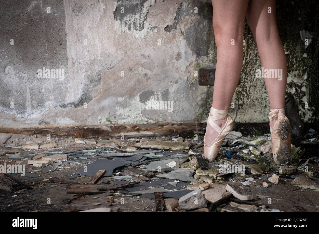 POINTE main image 1