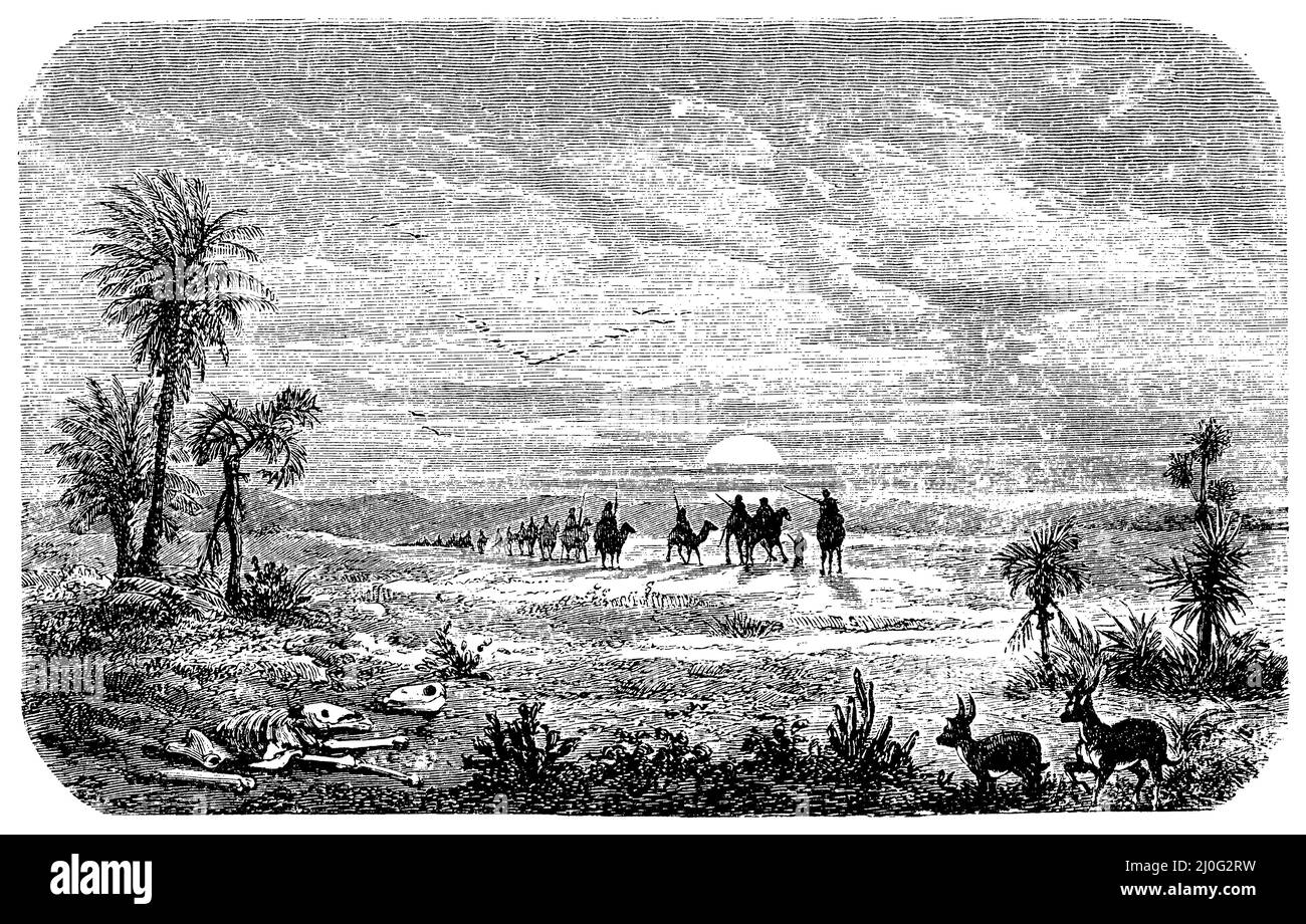 Train through the desert, ,  (geography book, 1885), Zug durch die Wüste, Train à travers le désert Stock Photo