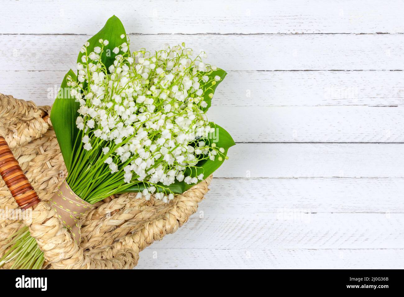 Bouquet of Lily of the valley flowers in a basket on a white wooden background with a copy space close up top view Stock Photo