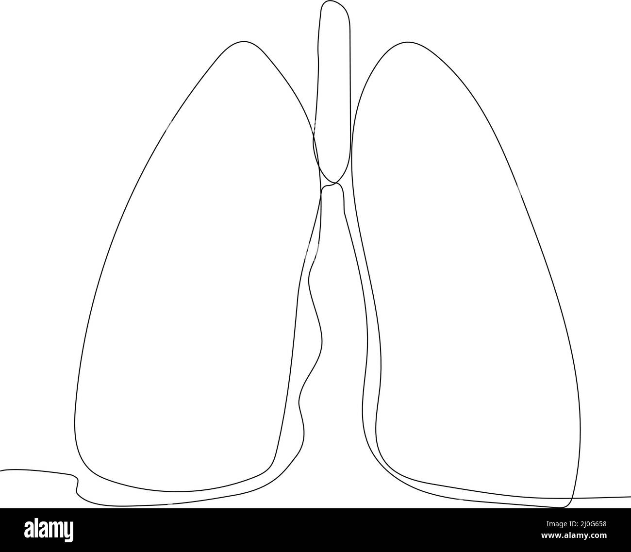 Pulmonary lung vector graphic design  Stock Vector