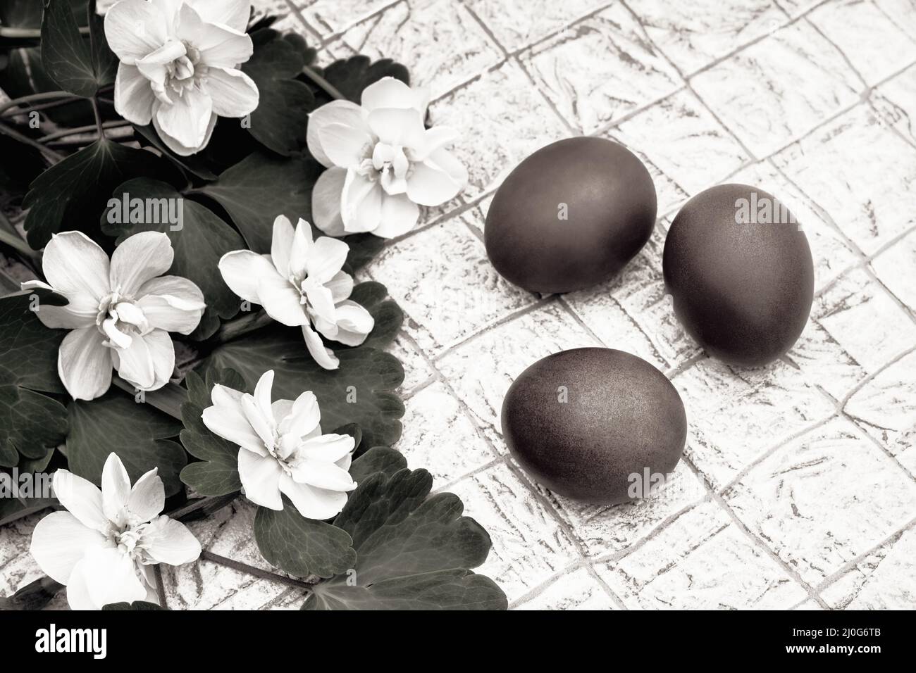 Three red Easter eggs and blooming daffodils Stock Photo