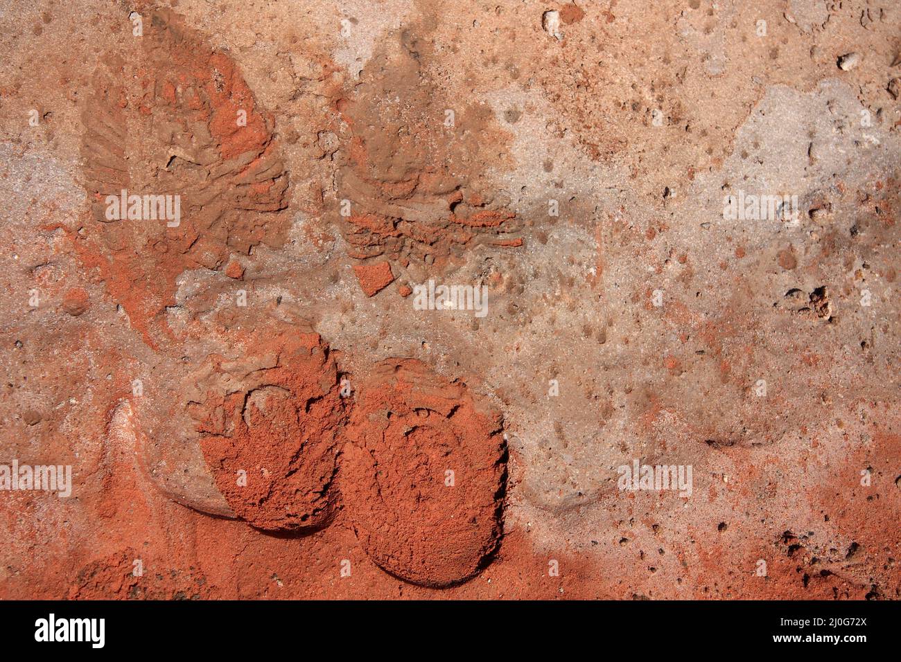 Shoe prints in the red sand Stock Photo