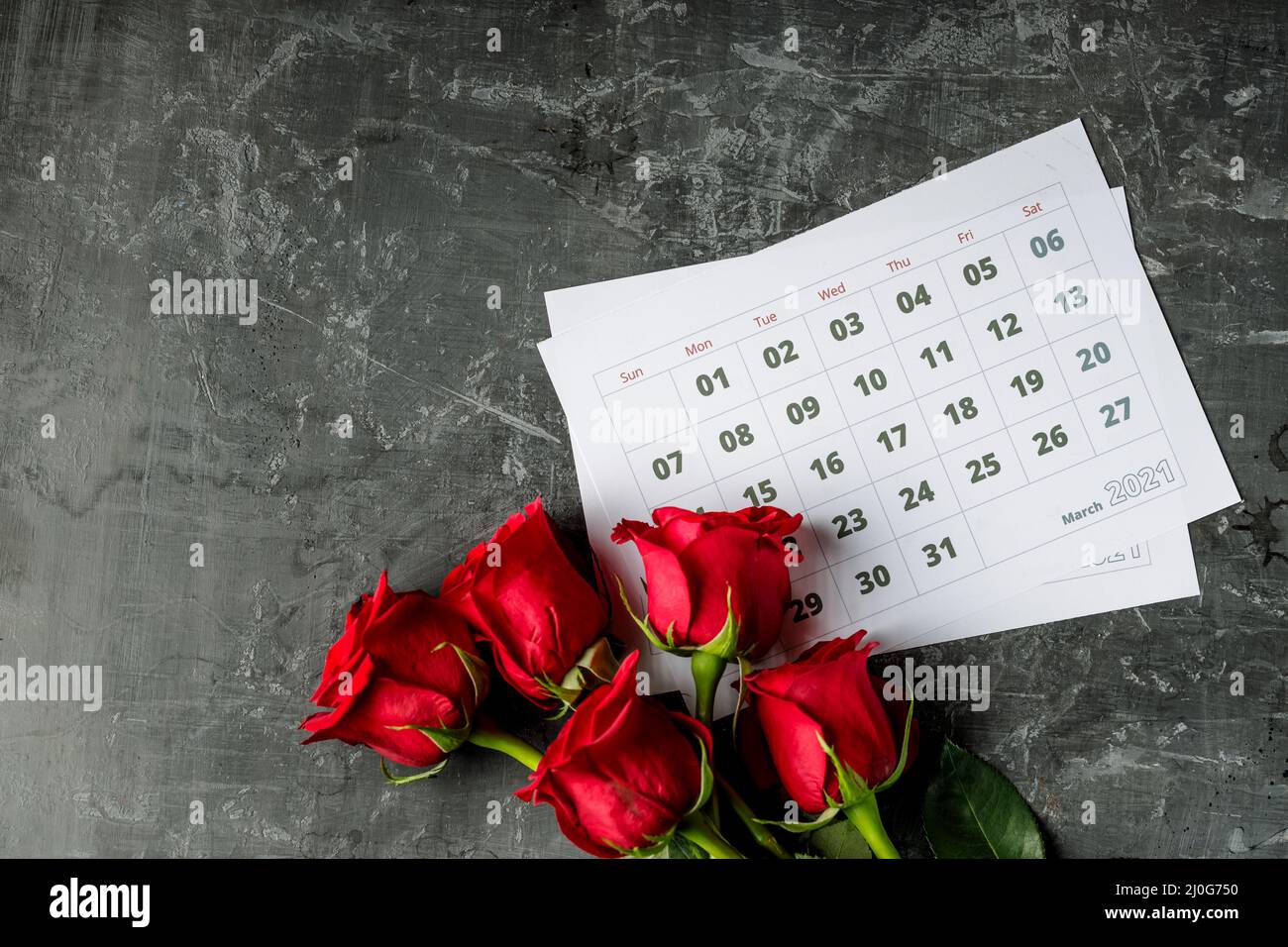 International Womans day concept with calendar pages of year 2021 of march and red roses on gray background Stock Photo