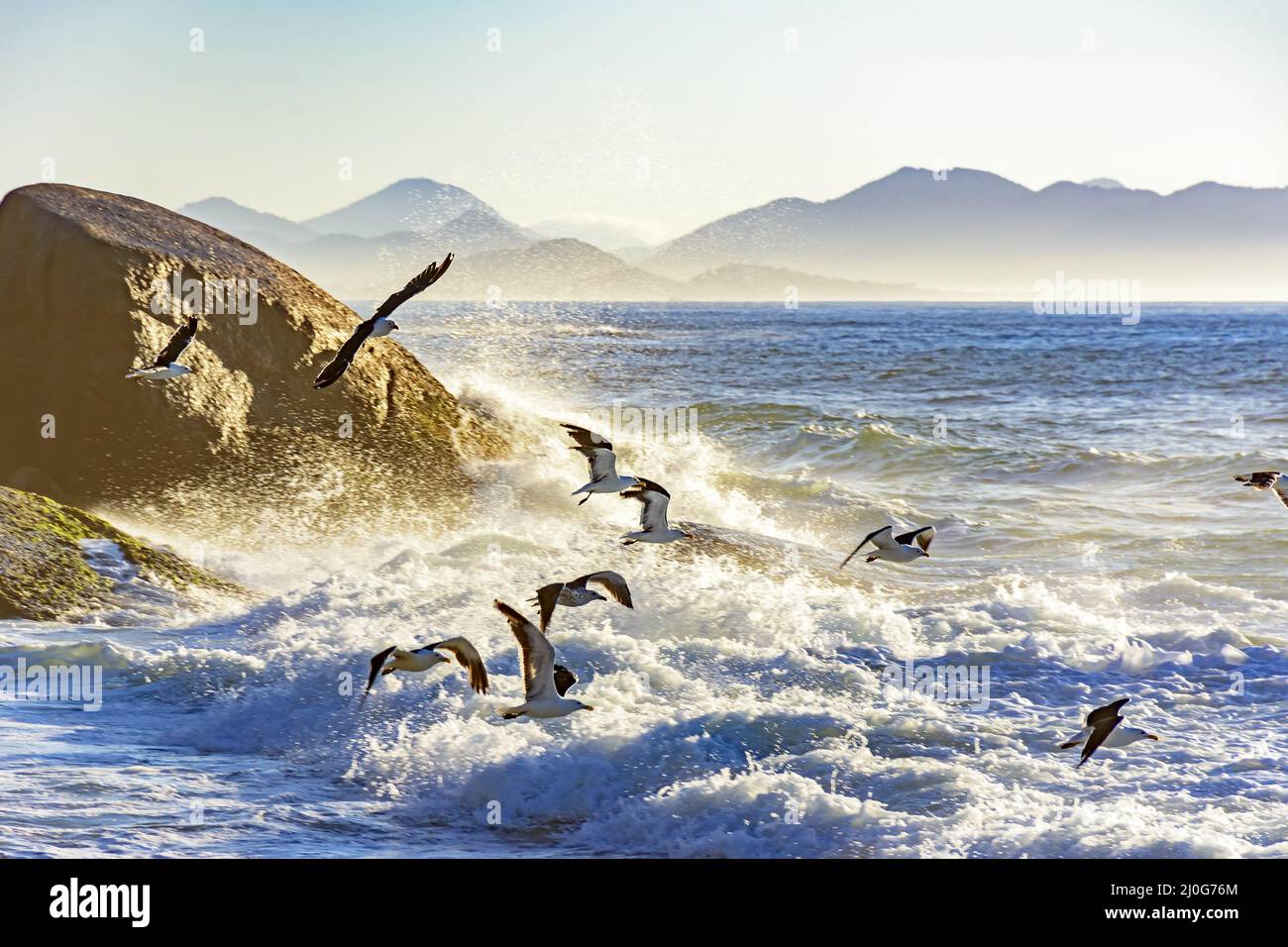Flying into the dawn hi-res stock photography and images - Alamy