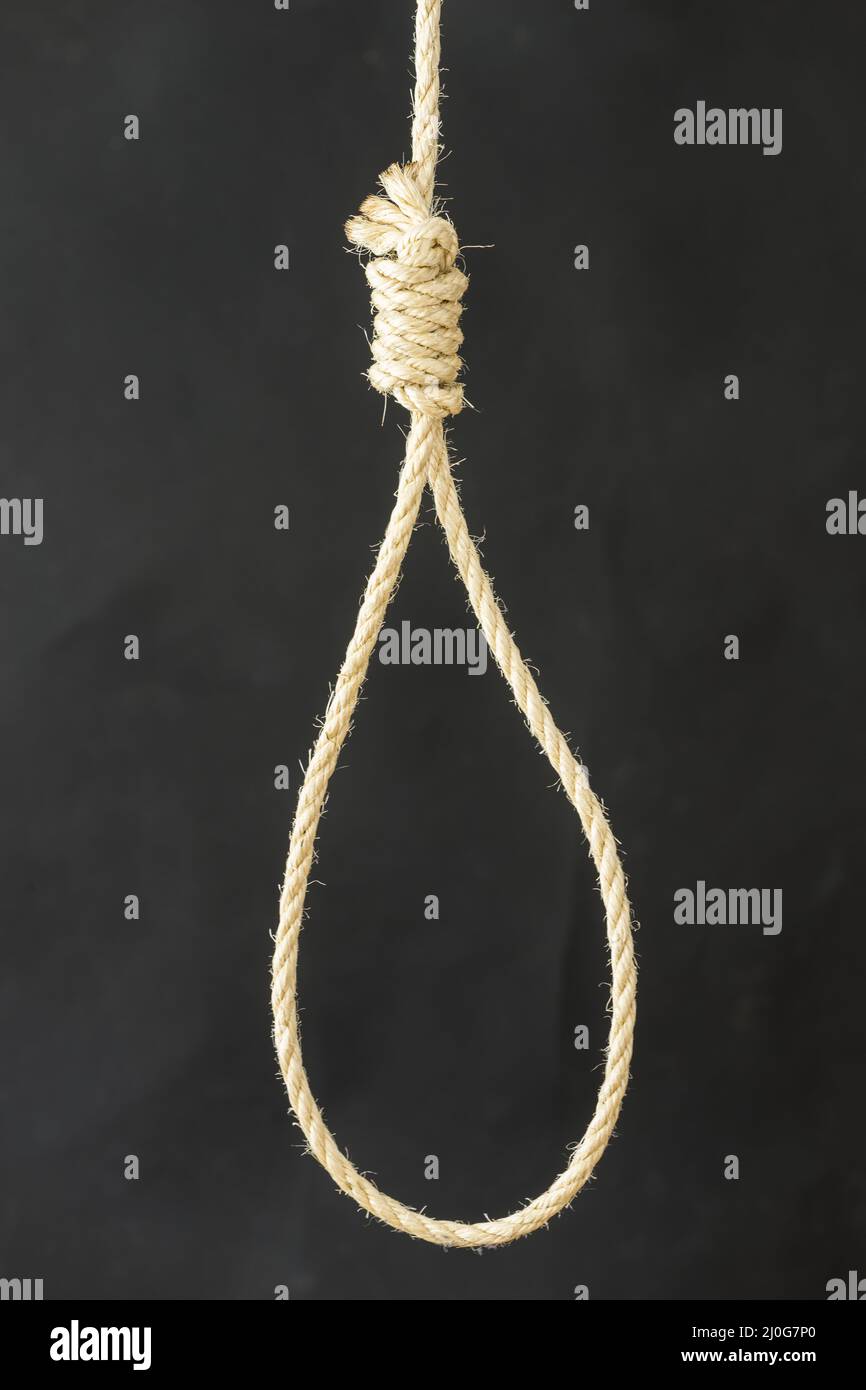 Knotted gallows rope on gray background Stock Photo