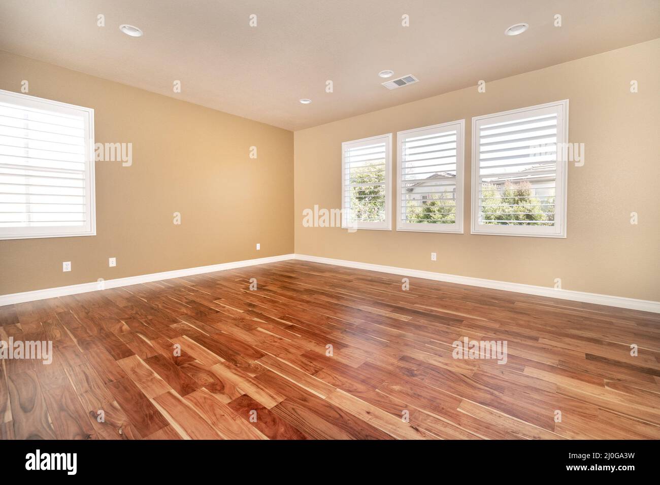 Floor molding 2024