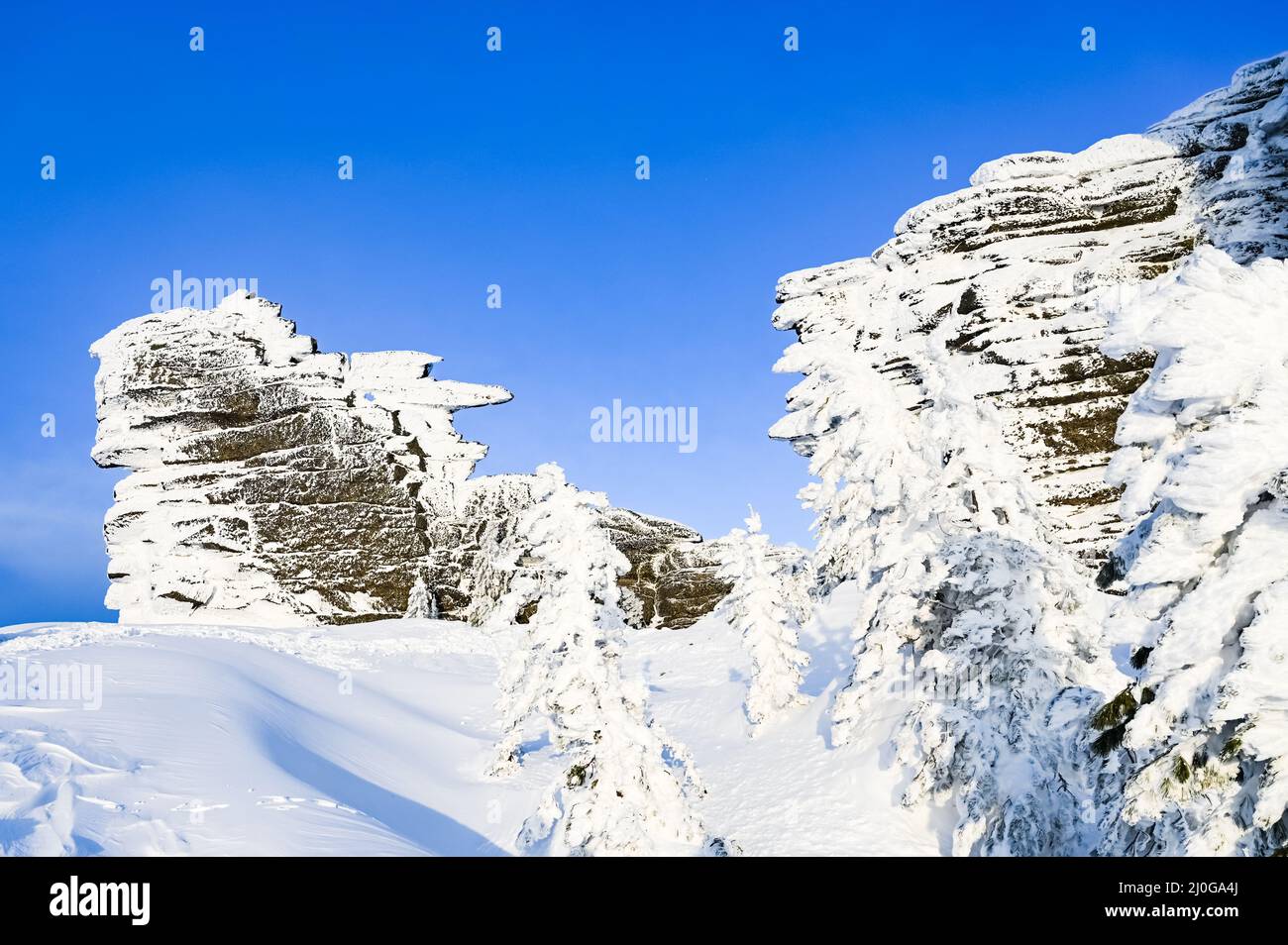 White rocks with fir trees hi-res stock photography and images - Alamy
