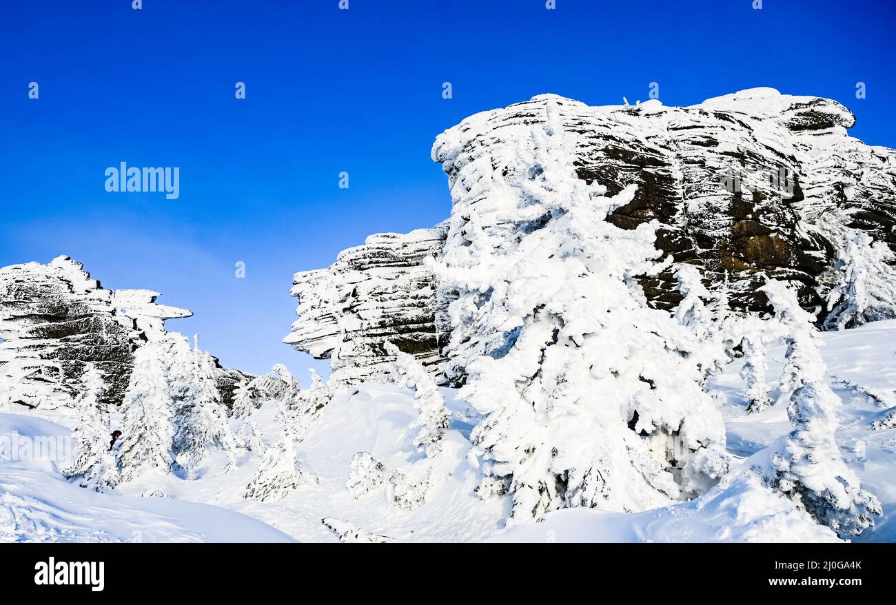 White rocks with fir trees hi-res stock photography and images - Alamy