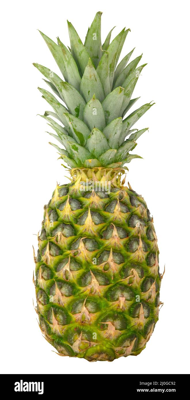 Isolated Organic Pineapple Stock Photo