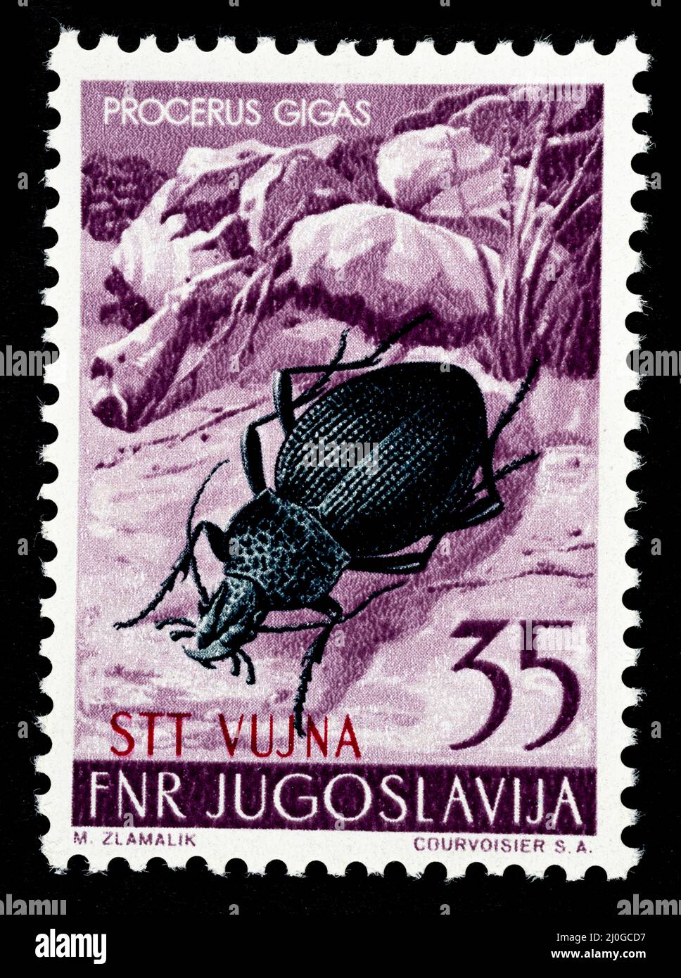 Commemorative postage stamp  with the illustration of a golden eagle - Procerus Gigas  issued by the  former Yugoslavia overprinted STT VUJNA, free te Stock Photo