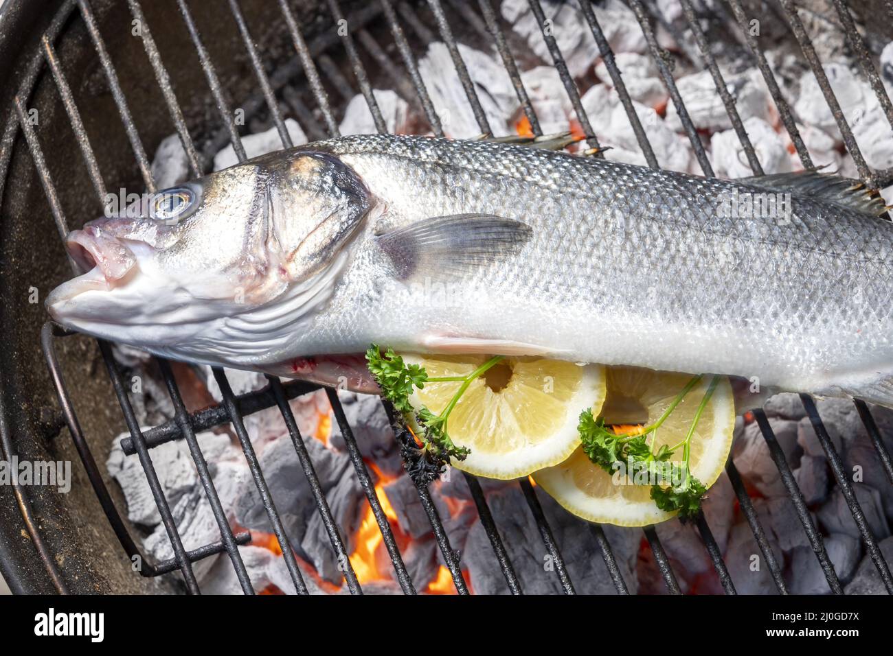 Grilled gilthead with lemon Stock Photo