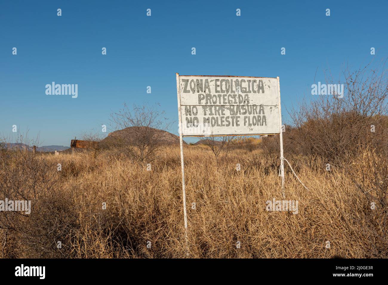 Sign written in Spanish translates into Protected Ecological Zone, Don't Throw Trash, and Do Not Disturb Plants, San Carlos, Sonora, Mexico. Stock Photo
