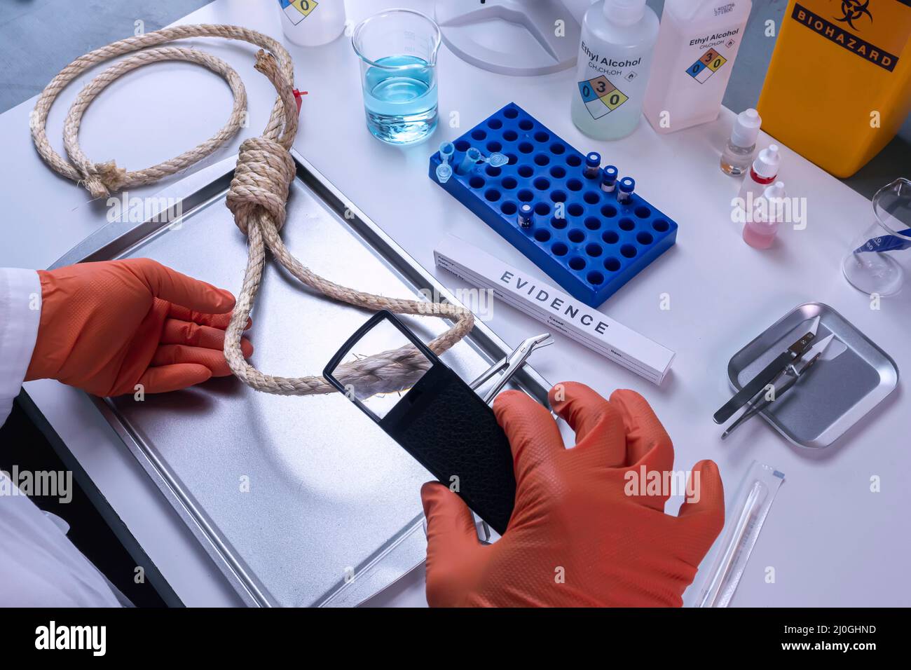 Police scientist analyses rope involved in hanging murder in crime lab, conceptual image Stock Photo