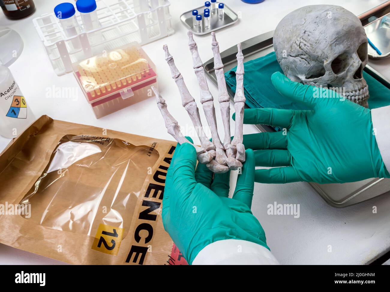 Forensic scientist investigates hand of adult skeleton in a crime lab, concept image Stock Photo