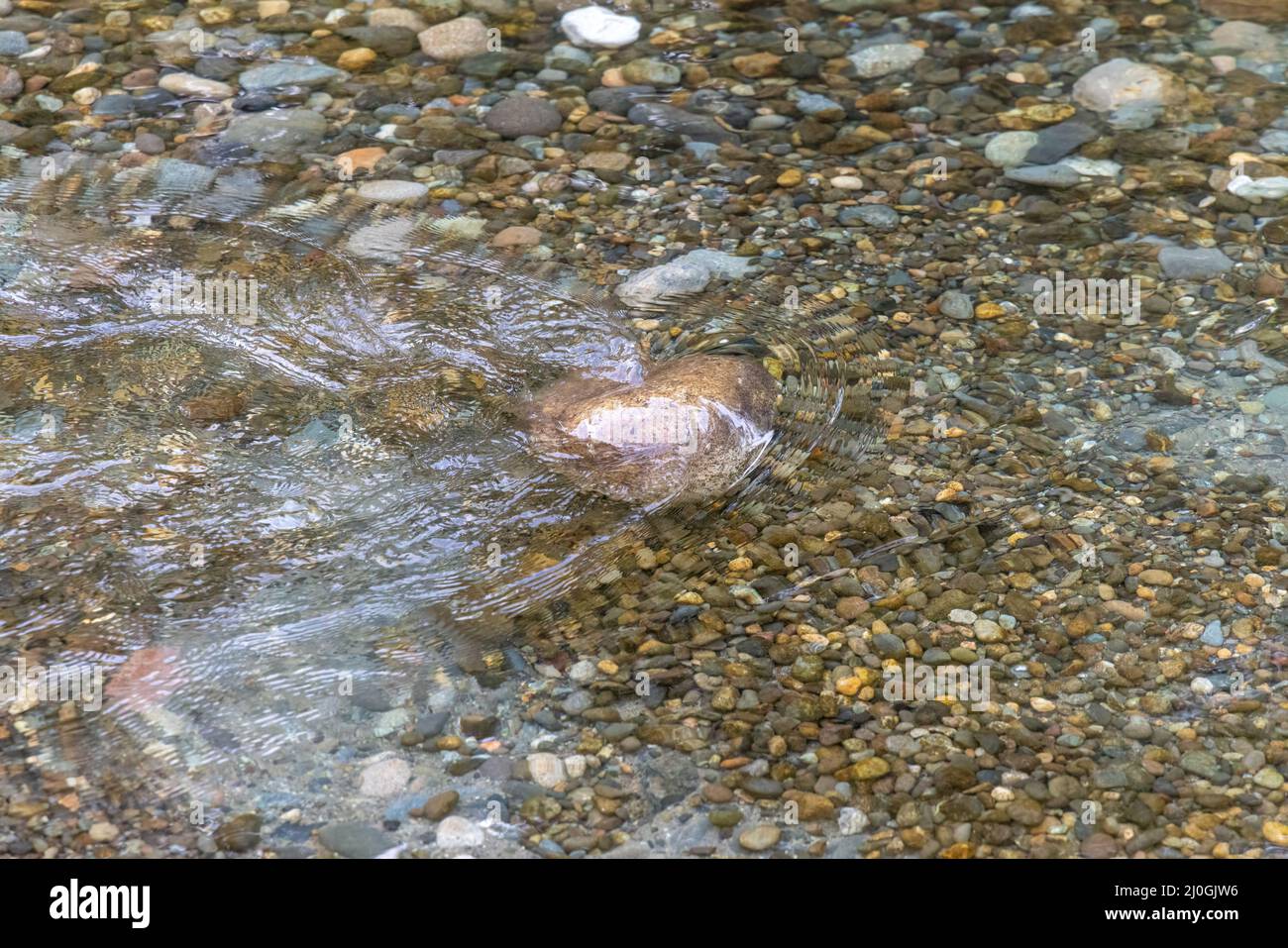 River bottom rocks hi-res stock photography and images - Alamy