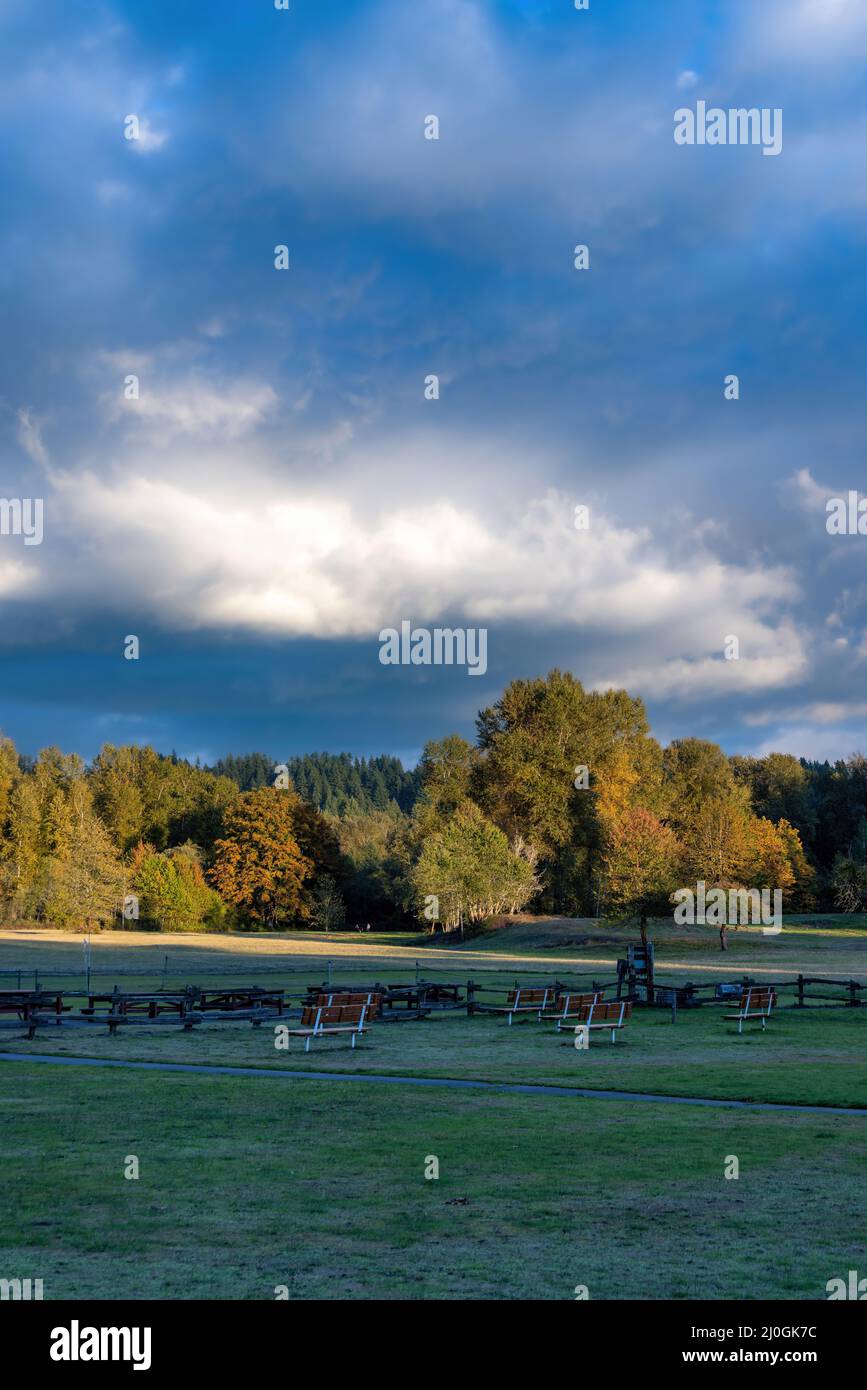 dramatic skies over grass and autumn trees Stock Photo