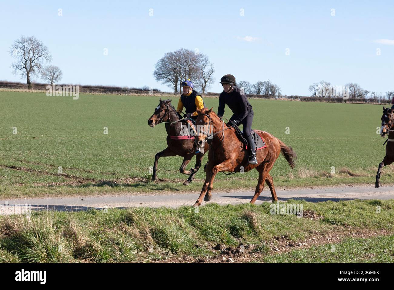 2022 Kiplingcotes Horse Race Stock Photo Alamy